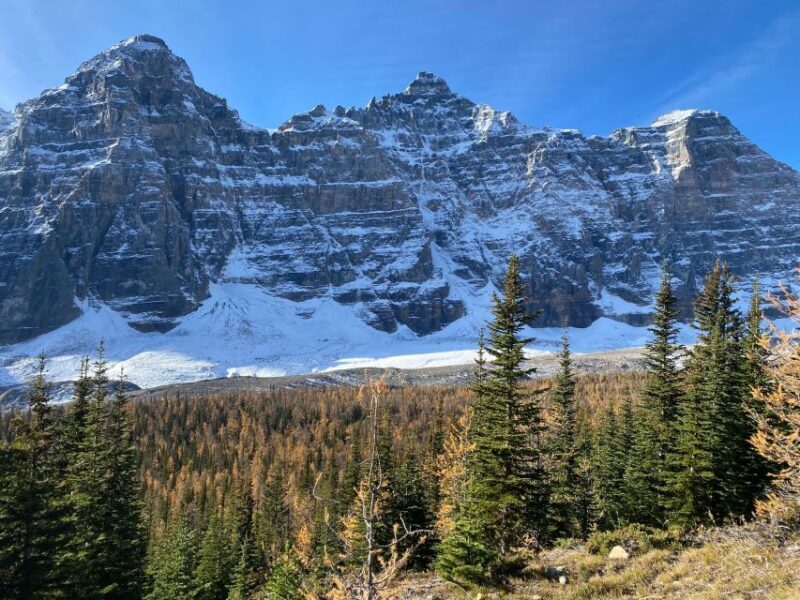 Moraine Lake & Larch Valley Hike - Authentic Insights from Reviewers