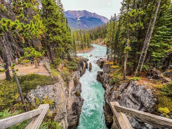 Moraine,Lake Louise ,Emerald Lake,Johnston Canyon &Banfftour - Frequently Asked Questions
