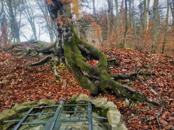 Moravian Karst: Top Secrets Guided HALF Day Tour - Customer Reviews