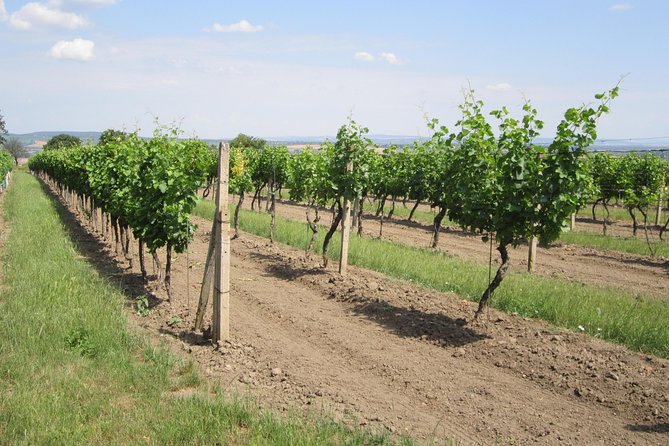 Moravian Wine Trails - Frequently Asked Questions