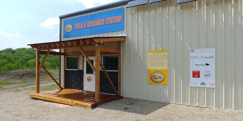 Morden, Manitoba: Full-Day Fossil Dig Tour with Instructor - A Deep Dive into the Fossil Dig Experience