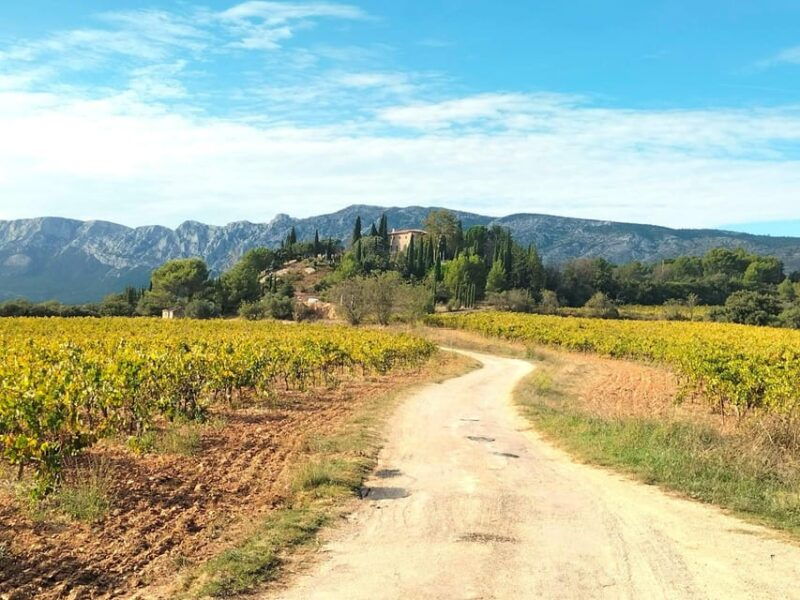 More Than a Wine Tour : Day Like a Local in the Countryside - Good To Know
