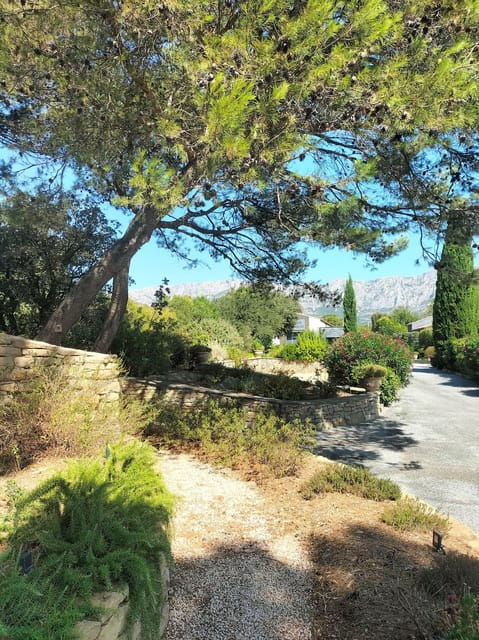 More Than a Wine Tour : Day Like a Local in the Countryside - Dining in Picturesque Settings