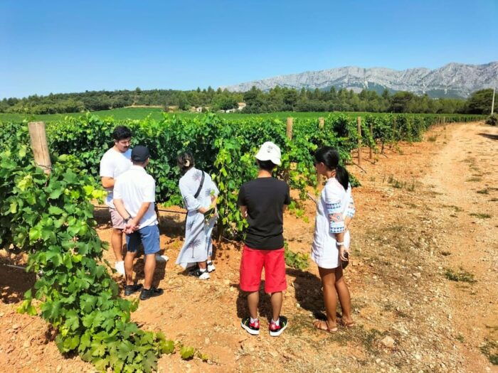 More Than a Wine Tour : Day Like a Local in the Countryside - Explore the Basilica of Mary Magdalene