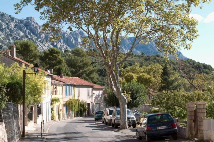 More Than a Wine Tour : Day Like a Local in the Countryside - Convenient and Comfortable Transportation