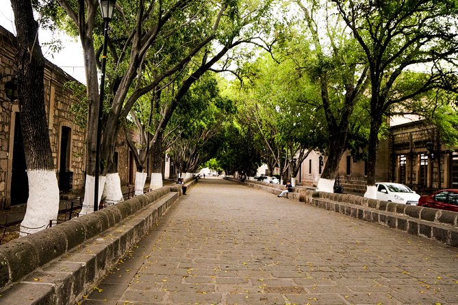 Morelia City Tour - Reviews and Ratings