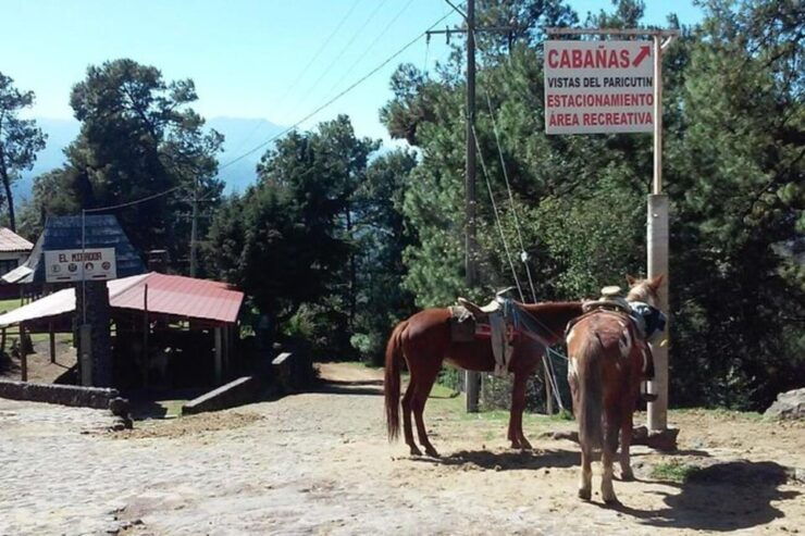 Morelia: Paricutin Volcano Tour - Highlights of the Tour