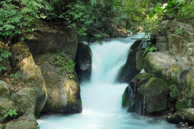 Morelia: Uruapan National Park Tour - Cupatitzio Rivers Crystalline Waters