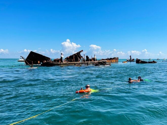 Moreton Bay: Snorkel and Swimming Tour - Highlights of the Tour
