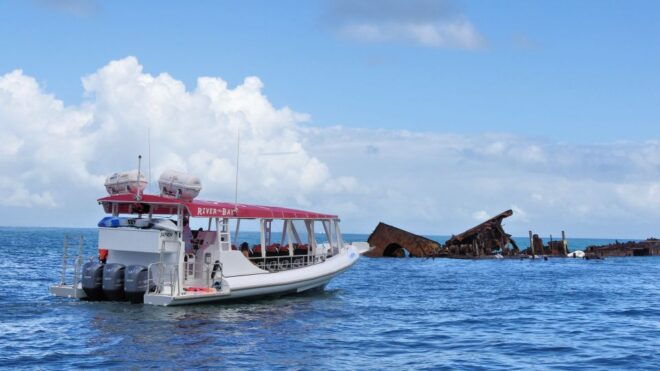 Moreton Bay: Snorkel and Swimming Tour - Meeting Point and Return Time