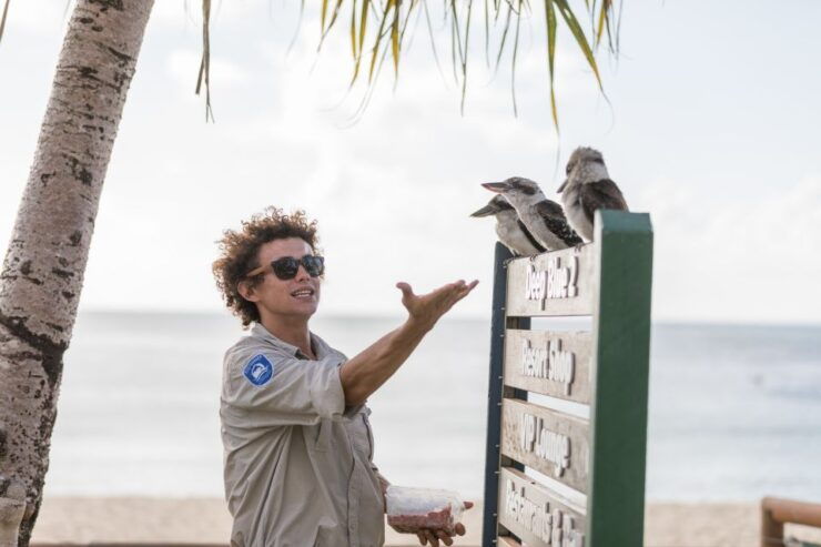 Moreton Island: Desert Safari Tour & Dolphin Viewing - Tour Highlights