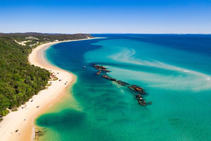 Moreton Island: Dolphin and Tangalooma Wrecks Day Cruise - Experience