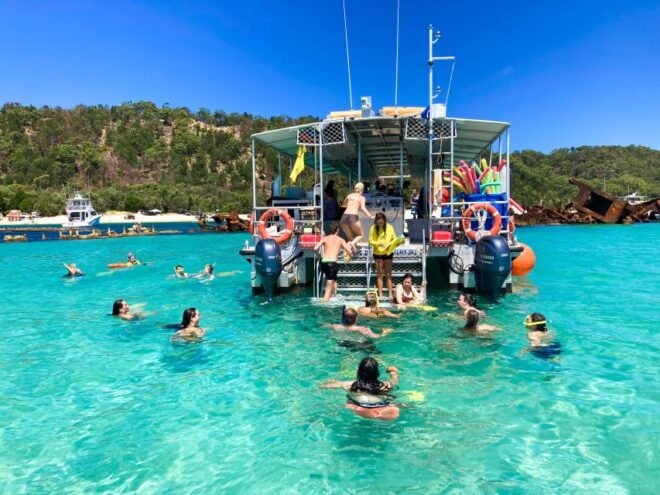 Moreton Island: Dolphin and Tangalooma Wrecks Day Cruise - Customer Reviews