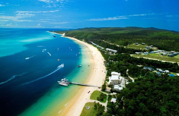 Moreton Island: Marine Discovery Cruise & Dolphin Feeding - Experience Highlights