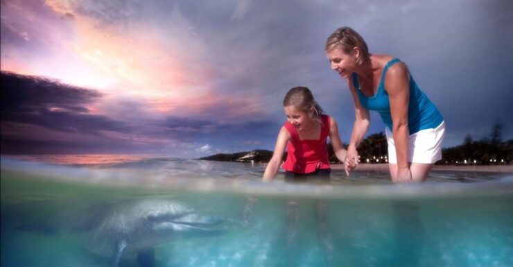 Moreton Island: Tangalooma ATV Quad Bike & Dolphin Feeding - Activity Details