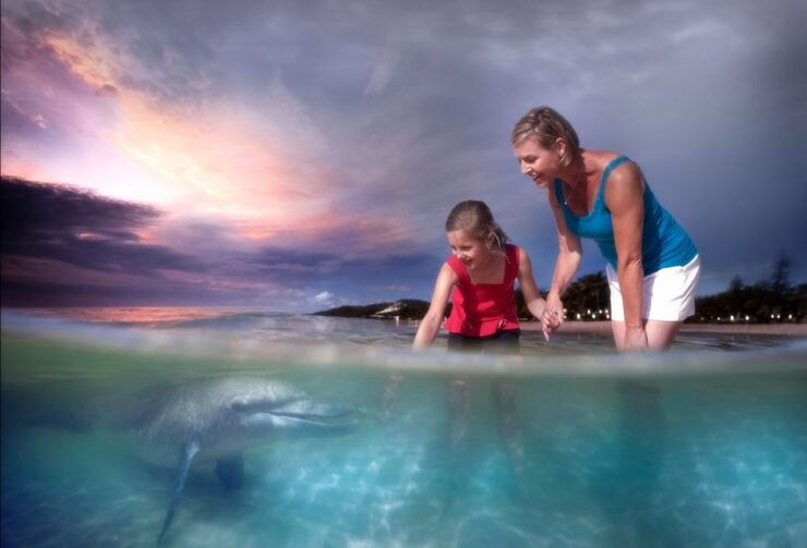 Moreton Island: Tangalooma ATV Quad Bike & Dolphin Feeding - Experience
