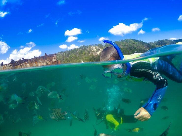 Moreton Island: Tangalooma Day Trip With Snorkeling Tour - Ticket Information