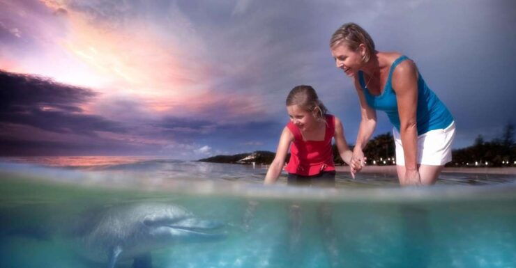 Moreton Island: Tangalooma Desert Safari and Dolphin Feeding - Experience Highlights