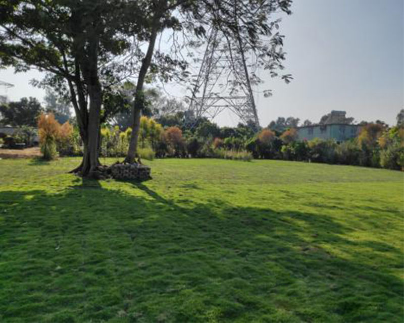 Mori no Tani Auto Camping/Camping - Is the price good value?