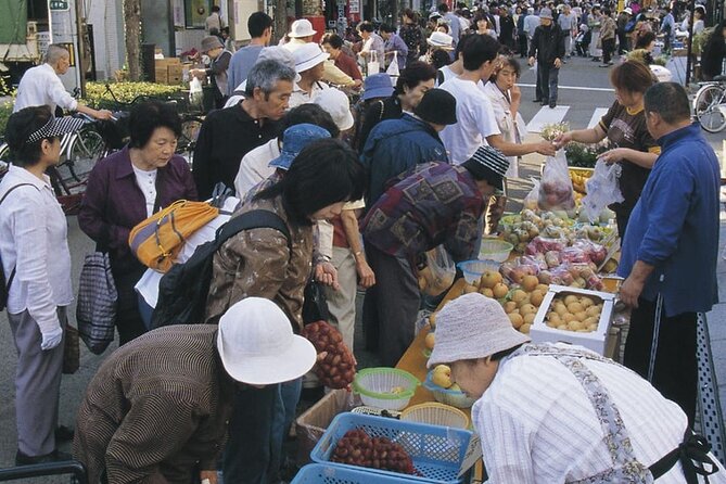 Morioka Full-Day Private Tour With Government-Licensed Guide - Customizable Tour Options