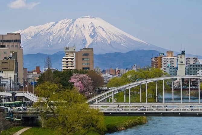 Morioka Half-Day Private Tour With Government-Licensed Guide - Whats Included in the Morioka Half-Day Private Tour