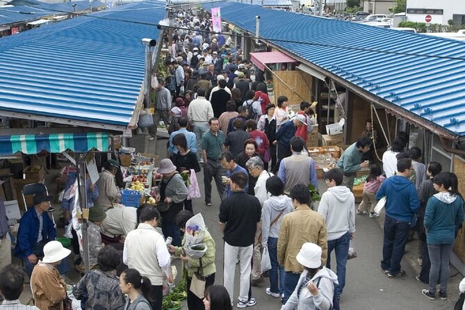 Morioka Half-Day Private Tour With Government-Licensed Guide - Contact and Support for the Morioka Half-Day Private Tour
