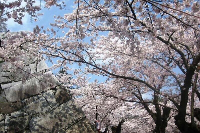 Morioka: Private Guided Tour with Government-Licensed Guide - Good To Know