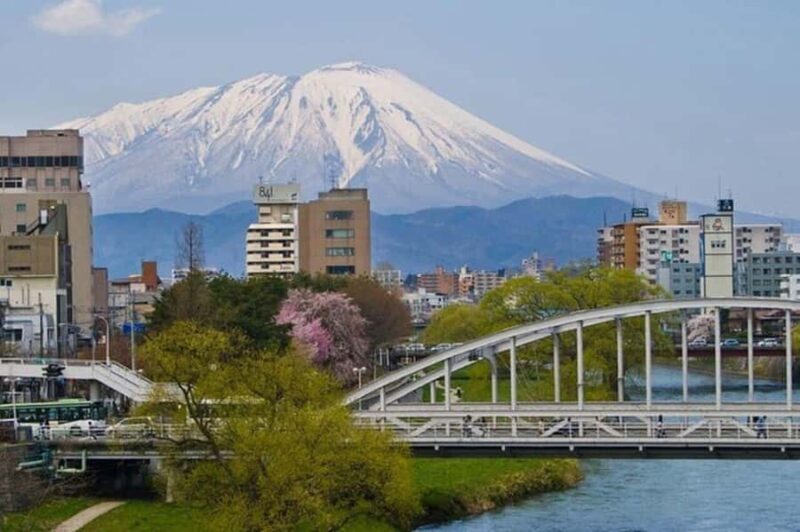 Morioka: Private Guided Tour with Government-Licensed Guide - The Experience of a Guided Private Tour