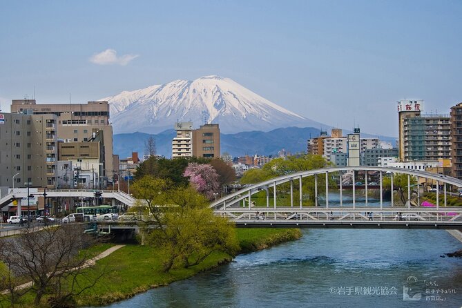 Morioka Town Half Day Walking Shared Tour - The Sum Up