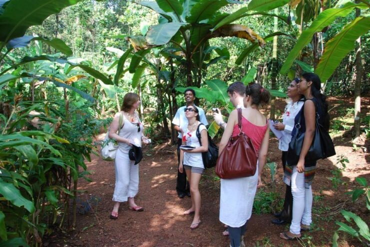 Mormugao Goa Offshore Old Goa Churches,Spice Farm Lunch Tour - Tour Price and Duration