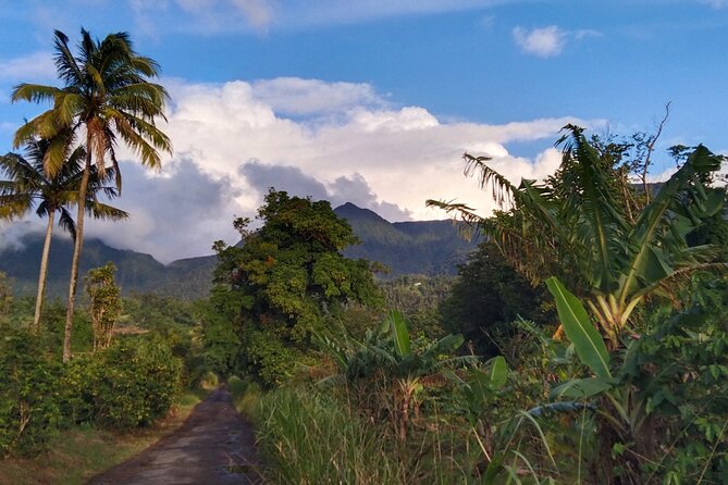 Morne Daiblotin Mountain Climb -Dominicas Tallest - Morne Daiblotin Mountain Overview