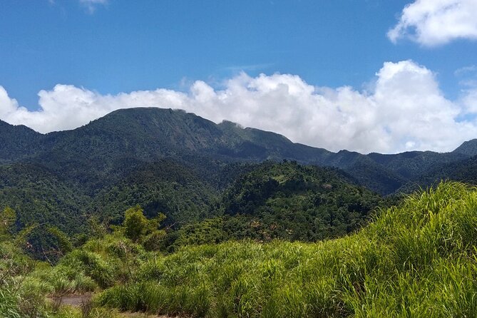 Morne Daiblotin Mountain Climb -Dominicas Tallest - Climbing Difficulty Level