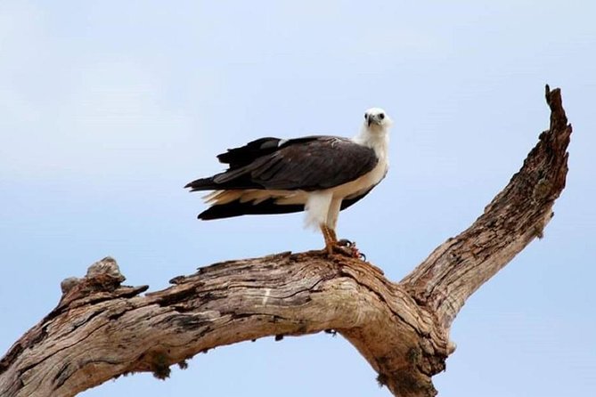 Morning 07 Hour Private Safari at Yala National Park by Yala La Safari Tours - What to Expect on the Morning Safari