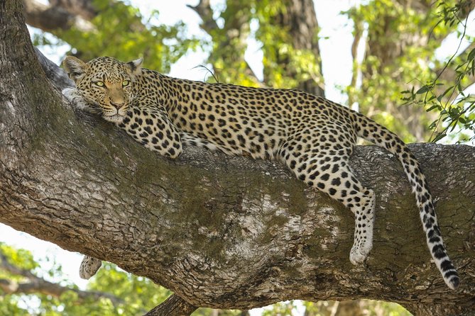 Morning 07 Hour Private Safari at Yala National Park by Yala La Safari Tours - Reviews and Ratings of Yala La Safari Tours