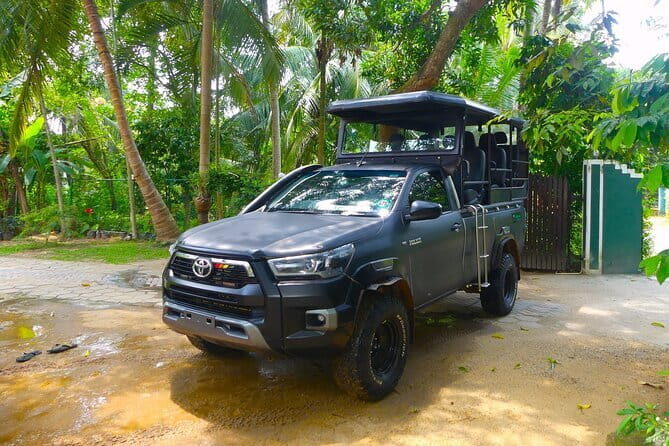 Morning 07 Hour Shared Safari at Yala National Park by Yala La Safari Tours - What to Expect on the Yala Safari