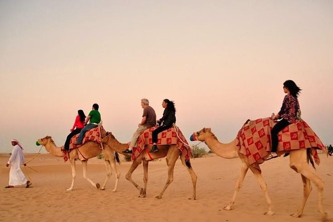 Morning Abu Dhabi Desert Dune Bashing and Camel Ride - Option to Rent Quad Bike for Added Adventure