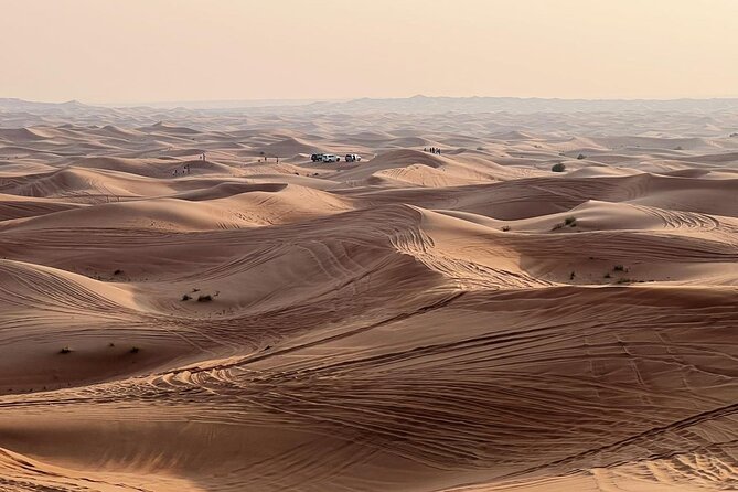 Morning Abu Dhabi Desert Dune Bashing and Camel Ride - Affordable Pricing Starting From 5.00
