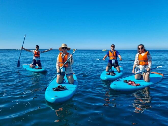 Morning Adventure at Benagil Cave by 9 Paddle Board - Paddle Board Options