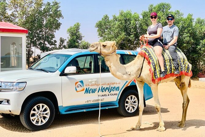 Morning Camel Trekking Over the Red Sand Dunes - Check Availability
