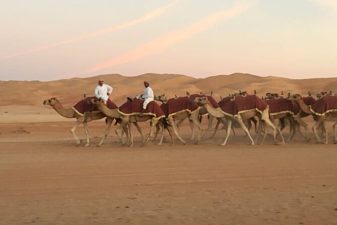 Morning Camel Trekking Over the Red Sand Dunes - Reserve Now & Pay Later