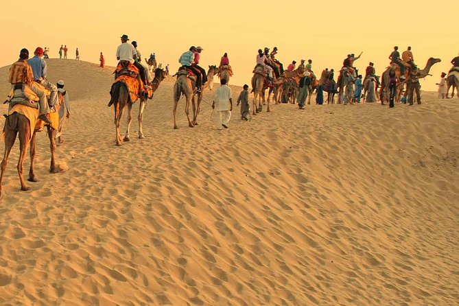 Morning Camel Trekking Safari Dubai ( With Refreshment ) - Discover the Secrets of Desert Life