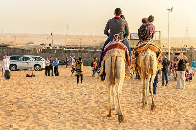 Morning Combo Safari in Dubai - Camel Ride Experience