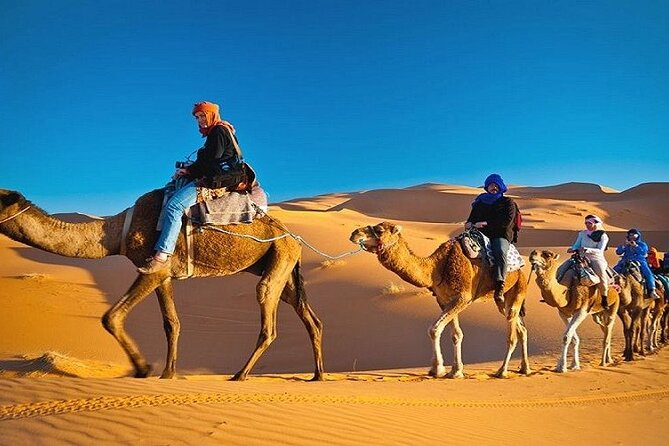 Morning Combo Safari in Dubai - Pricing and Booking Information