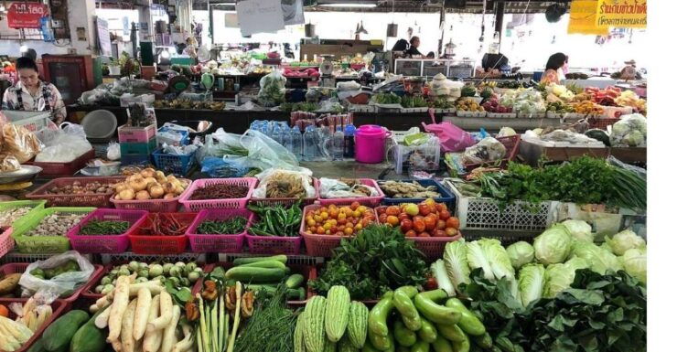 Morning Cooking Class With Market Visit-Indoor Kitchen - Booking Details