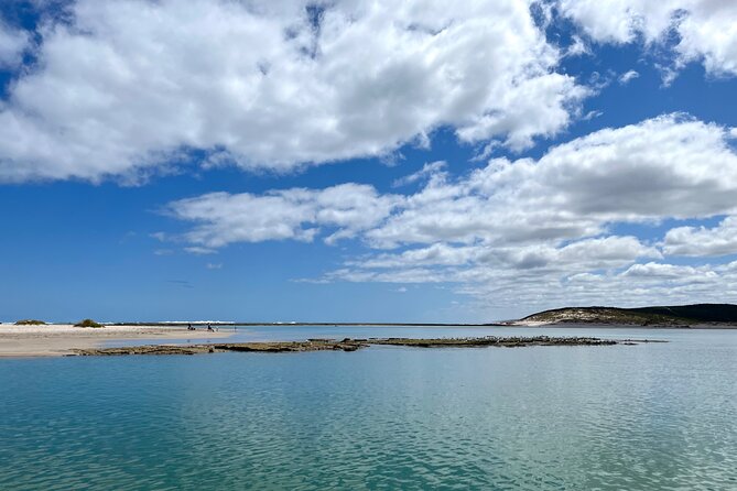 Morning Cruise on the Murchison River in Kalbarri (April to Nov) - Cruise Duration and Schedule