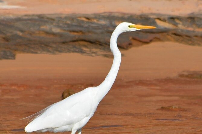 Morning Cruise on the Murchison River in Kalbarri (April to Nov) - Traveler Photos and Reviews