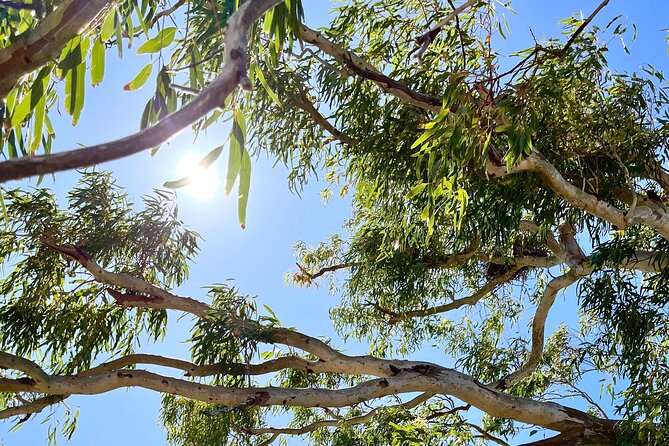 Morning Cruise on the Murchison River in Kalbarri (April to Nov) - Common Questions