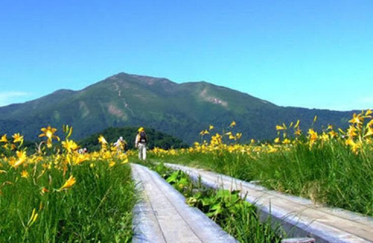 Morning departure-Shinjuku day trip: <Hatotoge Pass> A day trip to the distant "Oze" where wild flowers bloom - The direct bus makes Oze easier to reach