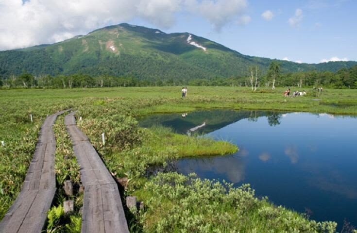 Morning departure-Shinjuku day trip: <Hatotoge Pass> A day trip to the distant "Oze" where wild flowers bloom - Pack for sun, rain and a self-guided walk