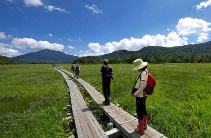Morning departure-Shinjuku day trip: <Hatotoge Pass> A day trip to the distant "Oze" where wild flowers bloom - Who should choose this Oze day trip?